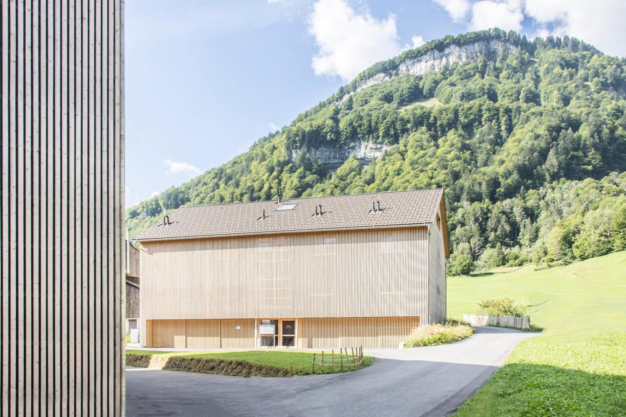 Apartment Waldblick Mellau Exterior foto